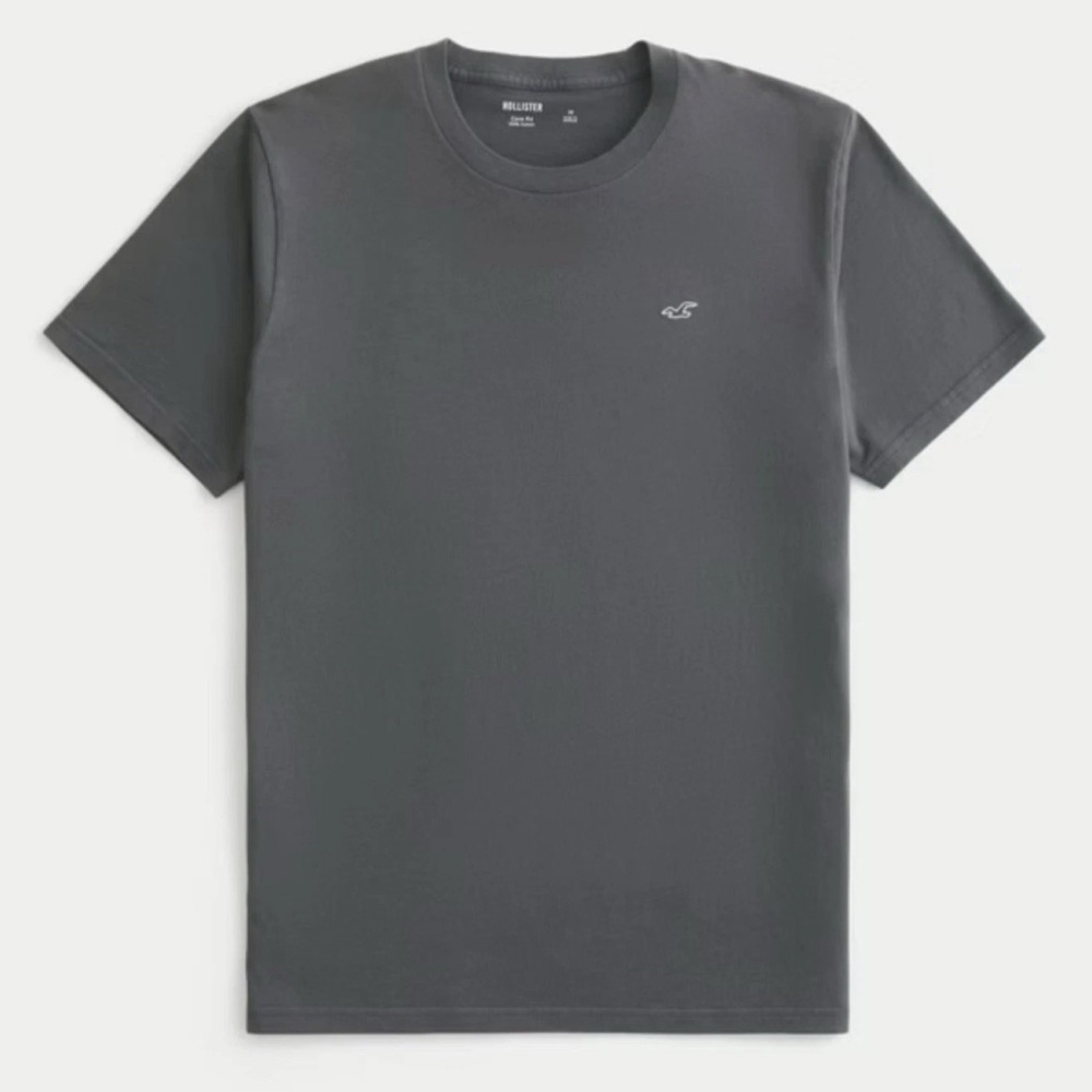 HOLLISTER Men’s Icon Short Sleeve Gray T-Shirt L